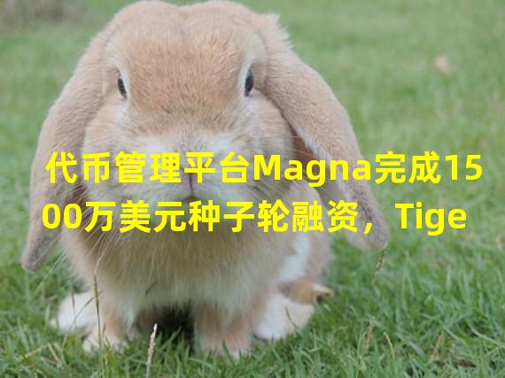 代币管理平台Magna完成1500万美元种子轮融资，Tiger Global和Tusk Ventures领投