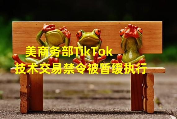 美商务部TikTok技术交易禁令被暂缓执行
