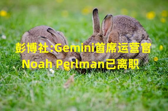 彭博社:Gemini首席运营官Noah Perlman已离职