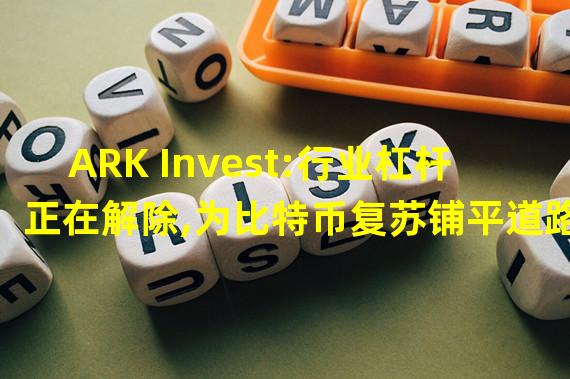 ARK Invest:行业杠杆正在解除,为比特币复苏铺平道路