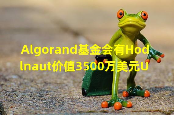 Algorand基金会有Hodlnaut价值3500万美元USDC的敞口