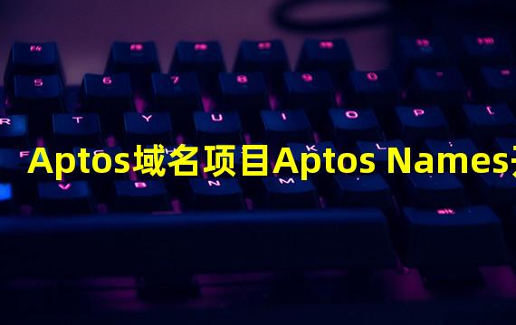 Aptos域名项目Aptos Names开源合约
