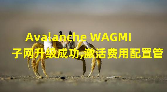 Avalanche WAGMI 子网升级成功,激活费用配置管理器