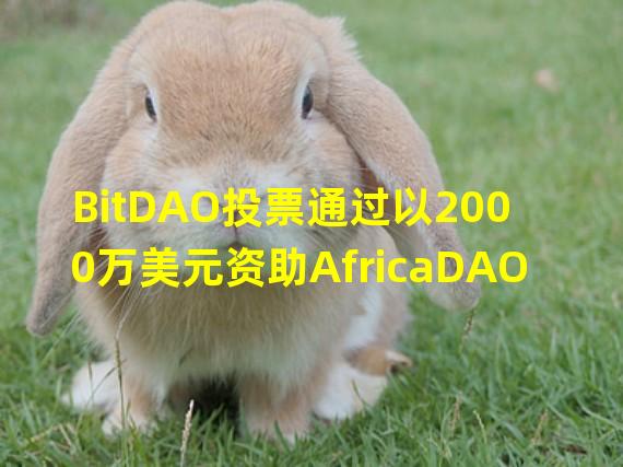 BitDAO投票通过以2000万美元资助AfricaDAO