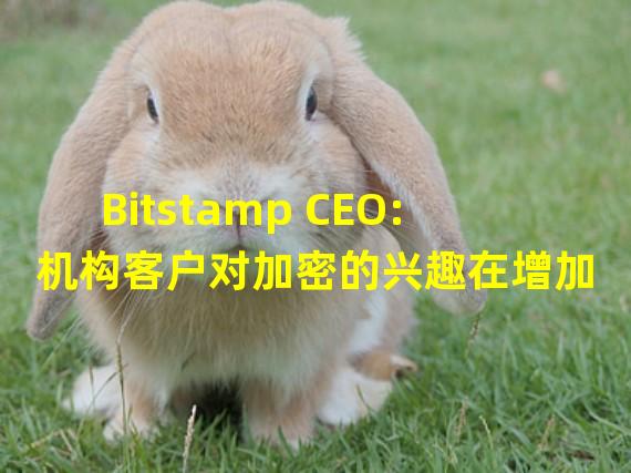 Bitstamp CEO:机构客户对加密的兴趣在增加