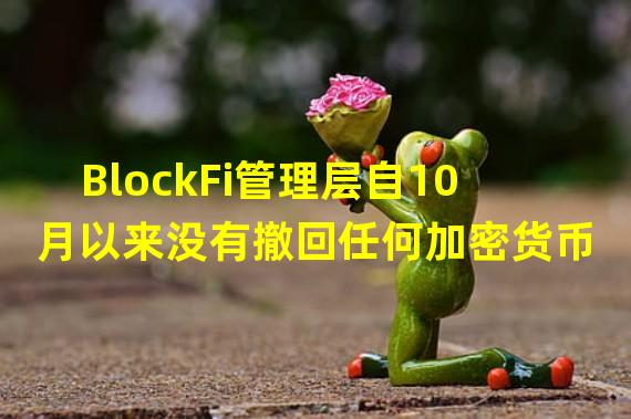 BlockFi管理层自10月以来没有撤回任何加密货币