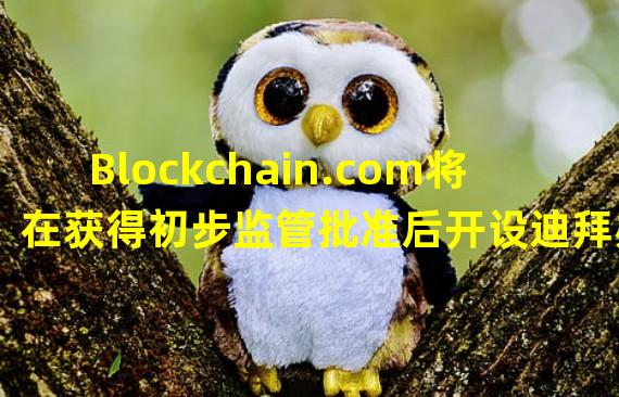 Blockchain.com将在获得初步监管批准后开设迪拜办事处