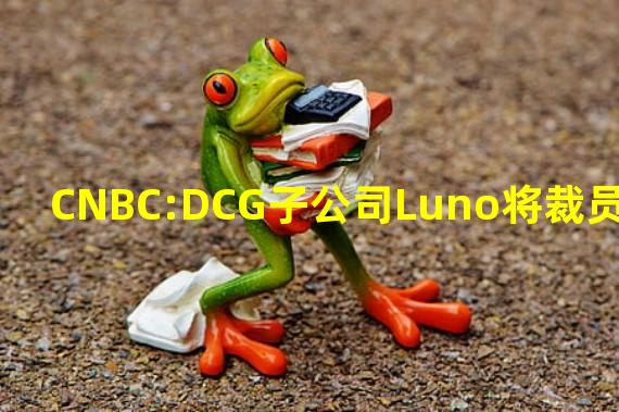 CNBC:DCG子公司Luno将裁员35%
