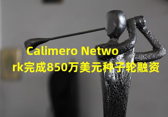 Calimero Network完成850万美元种子轮融资