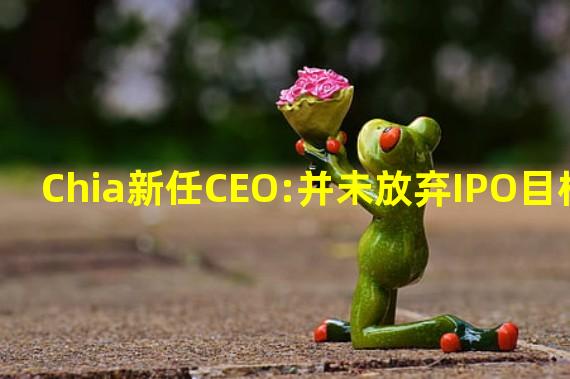 Chia新任CEO:并未放弃IPO目标