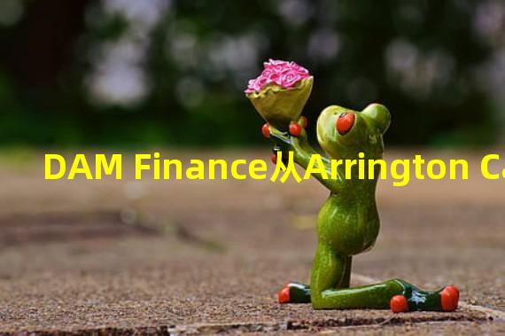DAM Finance从Arrington Capital Moonbeam Growth Fund获得战略投资