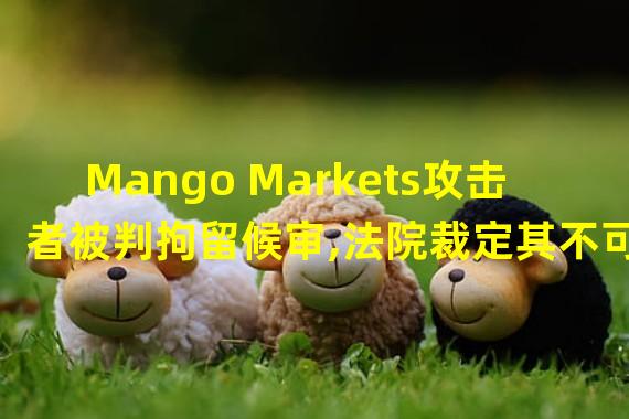 Mango Markets攻击者被判拘留候审,法院裁定其不可保释