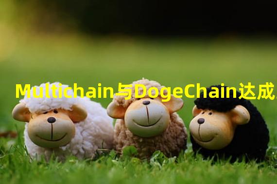 Multichain与DogeChain达成跨链合作