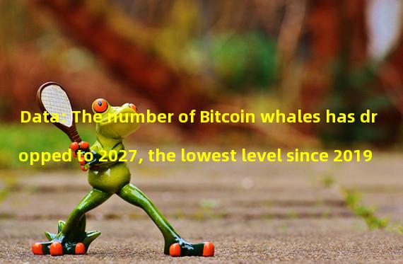 Data: The number of Bitcoin whales has dropped to 2027, the lowest level since 2019