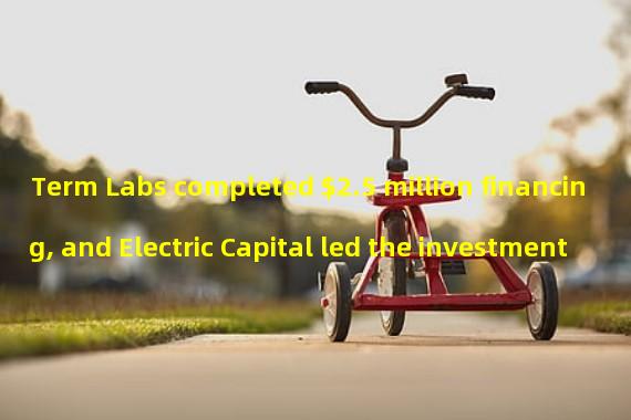 Term Labs completed $2.5 million financing, and Electric Capital led the investment