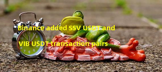 Binance added SSV USDT and VIB USDT transaction pairs