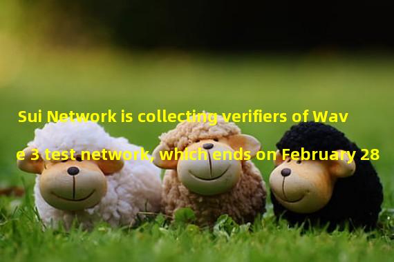 Sui Network is collecting verifiers of Wave 3 test network, which ends on February 28