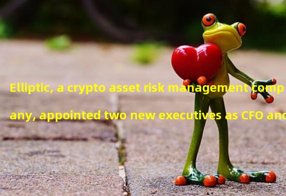 Elliptic, a crypto asset risk management company, appointed two new executives as CFO and CPO