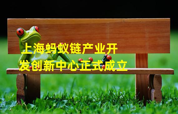 上海蚂蚁链产业开发创新中心正式成立