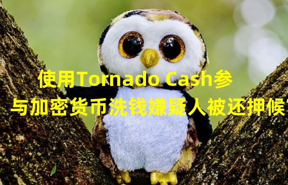 使用Tornado Cash参与加密货币洗钱嫌疑人被还押候审,延长至90天