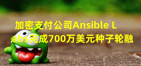 加密支付公司Ansible Labs完成700万美元种子轮融资