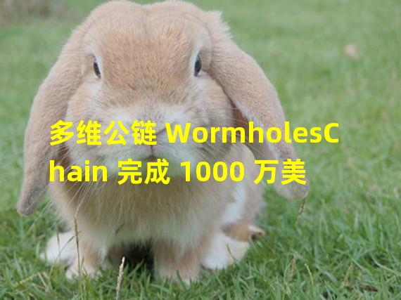 多维公链 WormholesChain 完成 1000 万美元种子轮融资