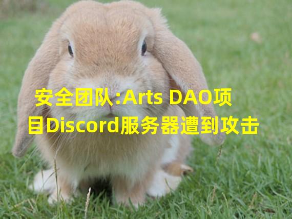 安全团队:Arts DAO项目Discord服务器遭到攻击