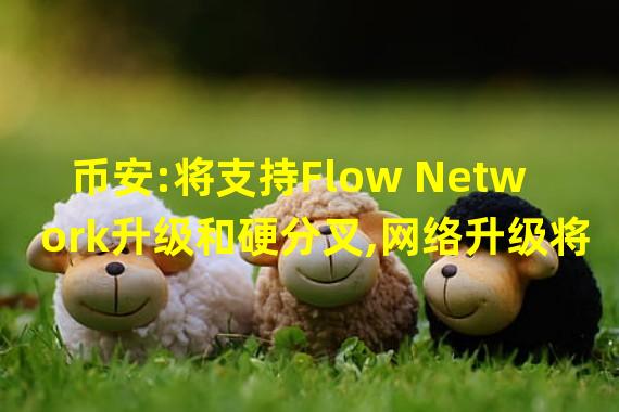 币安:将支持Flow Network升级和硬分叉,网络升级将于24日15:00 (UTC)开始进行