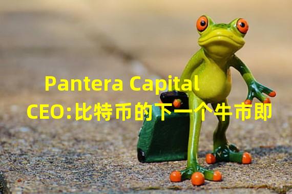 Pantera Capital CEO:比特币的下一个牛市即将到来
