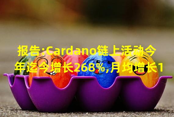报告:Cardano链上活动今年迄今增长268%,月均增长16%