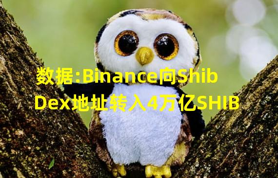 数据:Binance向Shib Dex地址转入4万亿SHIB