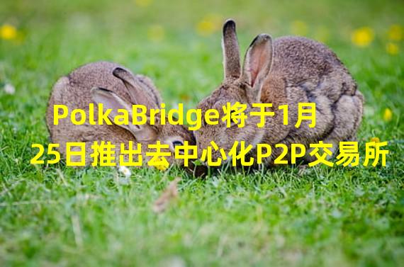 PolkaBridge将于1月25日推出去中心化P2P交易所Testnet v4.0