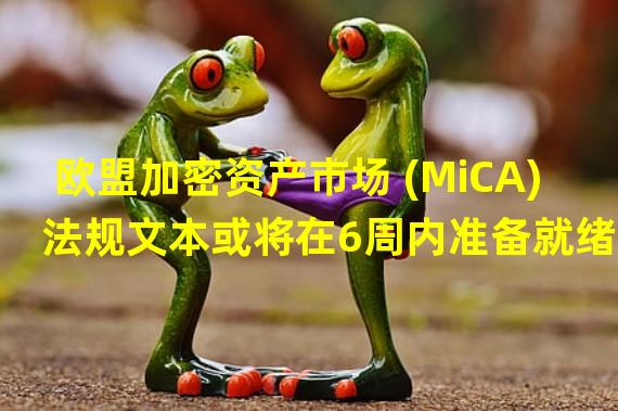 欧盟加密资产市场 (MiCA) 法规文本或将在6周内准备就绪