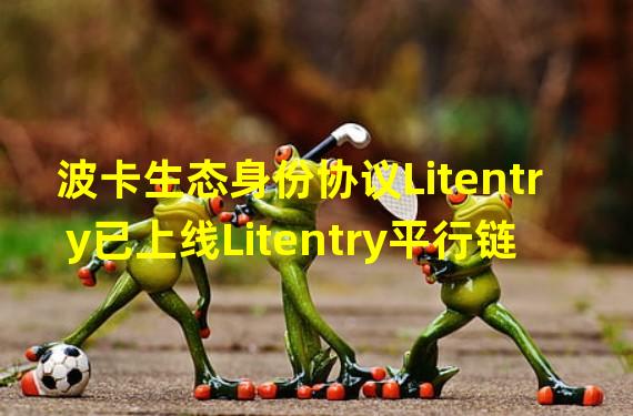 波卡生态身份协议Litentry已上线Litentry平行链区块浏览器