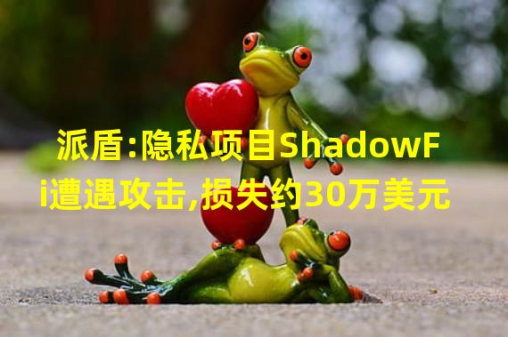 派盾:隐私项目ShadowFi遭遇攻击,损失约30万美元