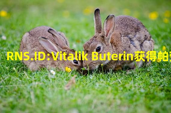 RNS.ID:Vitalik Buterin获得帕劳共和国RNS.ID数字身份证