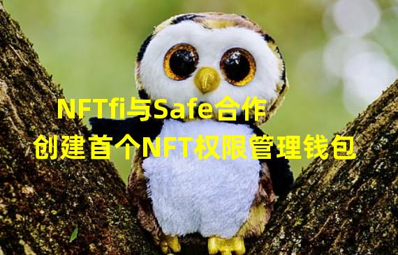 NFTfi与Safe合作创建首个NFT权限管理钱包