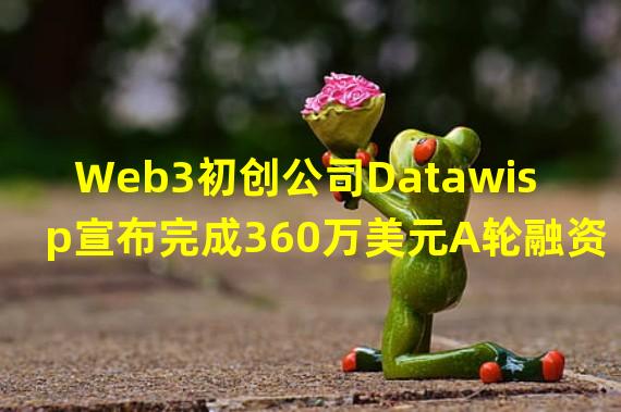 Web3初创公司Datawisp宣布完成360万美元A轮融资,CoinFund领投