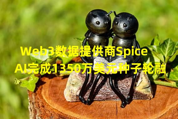 Web3数据提供商Spice AI完成1350万美元种子轮融资