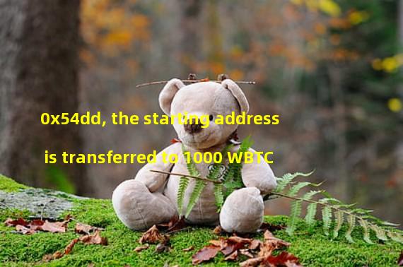 0x54dd, the starting address is transferred to 1000 WBTC