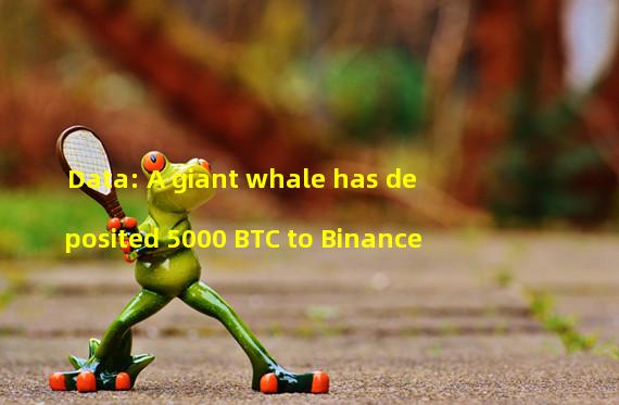 Data: A giant whale has deposited 5000 BTC to Binance