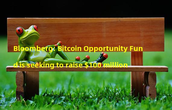 Bloomberg: Bitcoin Opportunity Fund is seeking to raise $100 million