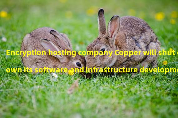 Encryption hosting company Copper will shut down its software and infrastructure development department