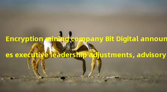 Encryption mining company Bit Digital announces executive leadership adjustments, advisory committees, and strategic priorities for 2023