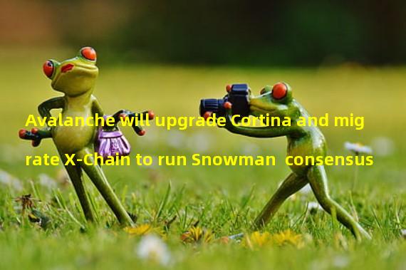 Avalanche will upgrade Cortina and migrate X-Chain to run Snowman++consensus