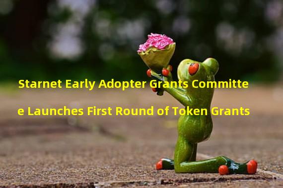 Starnet Early Adopter Grants Committee Launches First Round of Token Grants