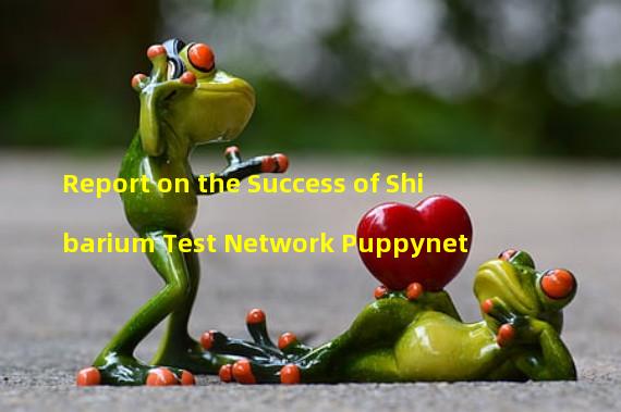 Report on the Success of Shibarium Test Network Puppynet