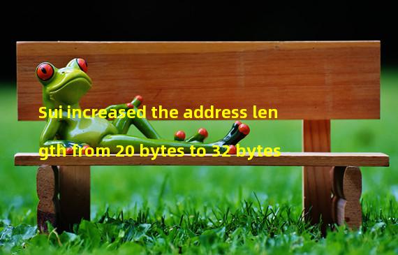 Sui increased the address length from 20 bytes to 32 bytes