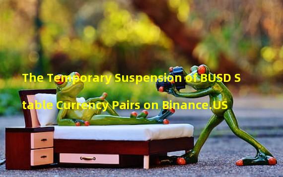 The Temporary Suspension of BUSD Stable Currency Pairs on Binance.US