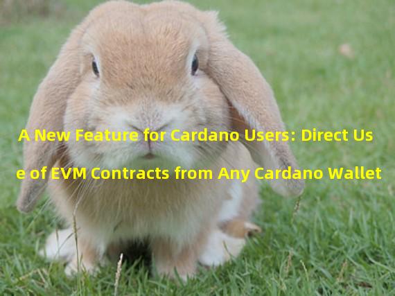 A New Feature for Cardano Users: Direct Use of EVM Contracts from Any Cardano Wallet & Pledge Rewards